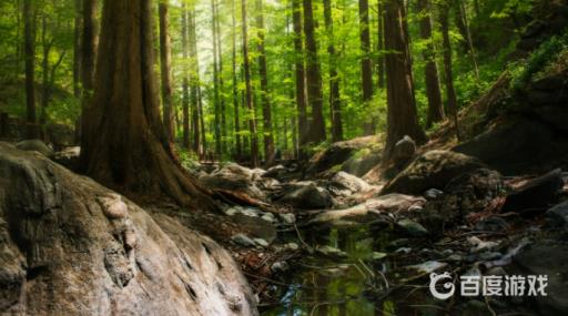 森林按键操作有哪些?1