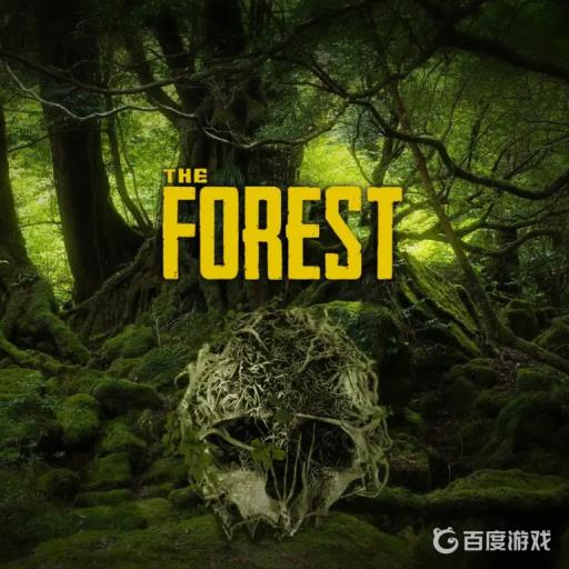 森林无敌作弊码怎么打?1