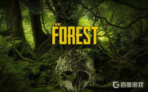 森林基本操作是什么?1