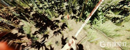 森林羽毛怎么获得?2