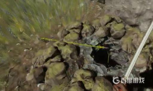 森林手电筒位置在哪?2