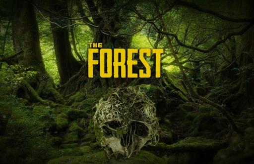 forest石头怎么敲掉?_theforest森林作弊码