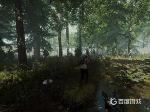 森林浣熊在哪些地方能刷?_森林浣熊在哪些地方能刷掉