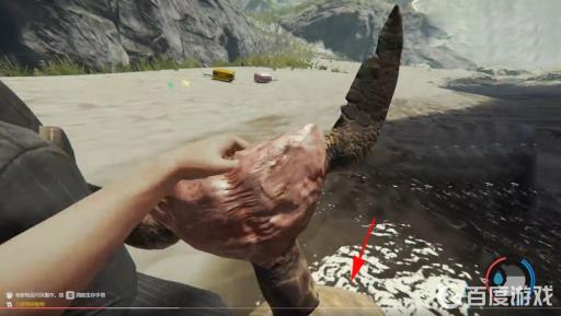 森林龟壳怎么获得?5