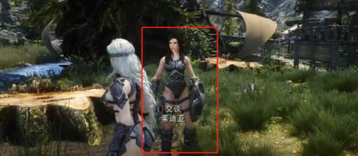 上古卷轴5怎么查取随从id?3