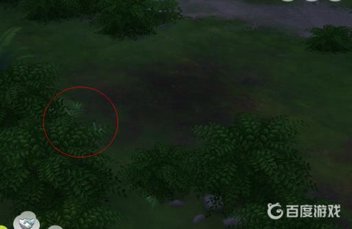 模拟人生4百合花在哪?3