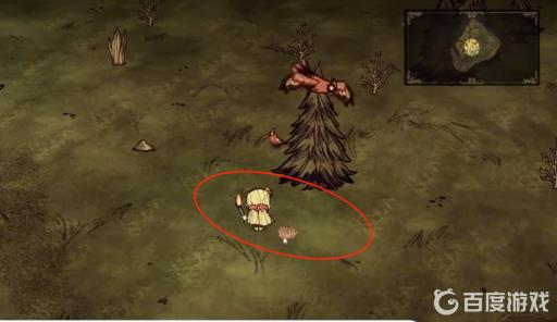 饥荒阿比盖亚花不见了怎么办?2