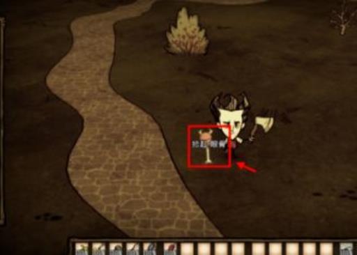 饥荒切斯特眼骨放在哪里不见了?3