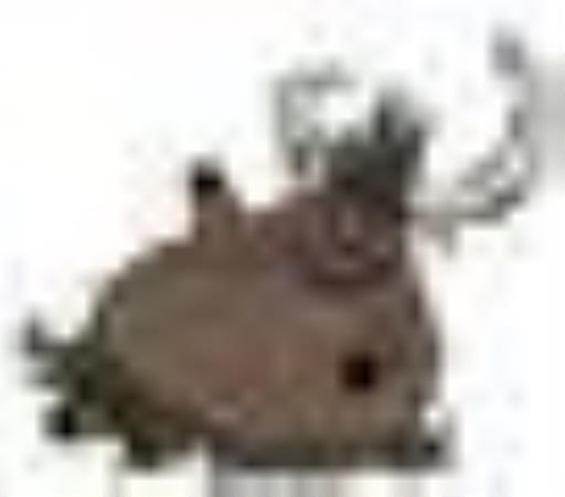 墓地区域有什么特性?5