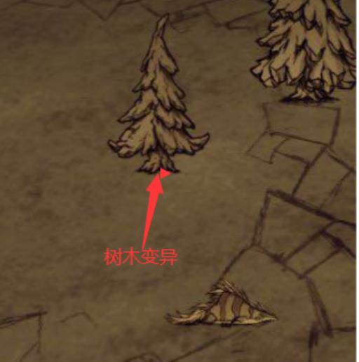 饥荒石化树怎么生成?2