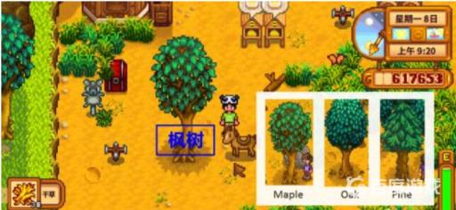 星露谷枫糖浆怎么获得?1