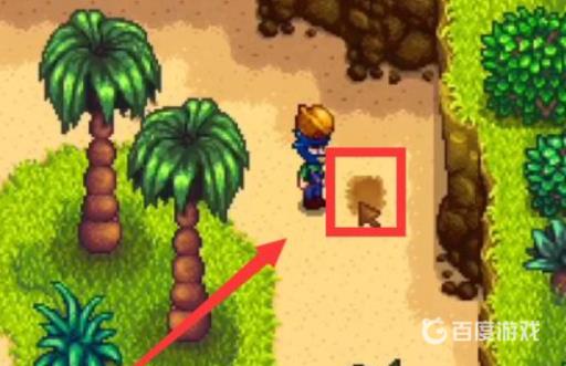 星露谷物语金色核桃全部位置?5