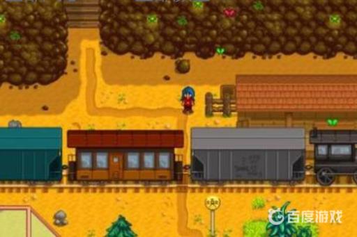 星露谷火车经过是什么意思?2