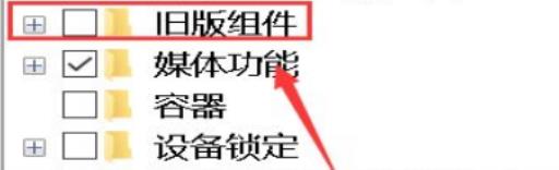 星露谷win10玩着闪退怎么办?6