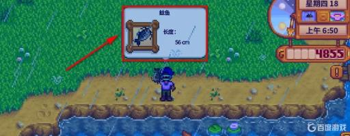 星露谷物语鲶鱼在哪钓?7
