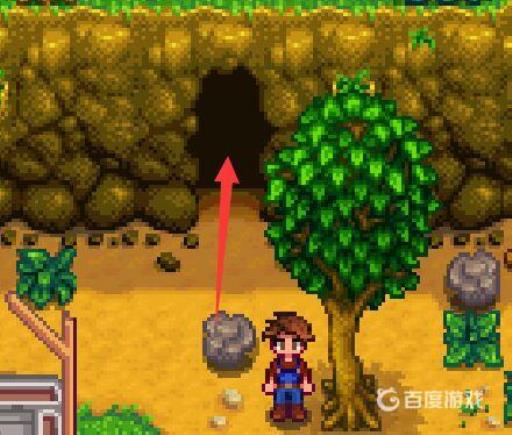 星露谷物语普通蘑菇在哪里?2