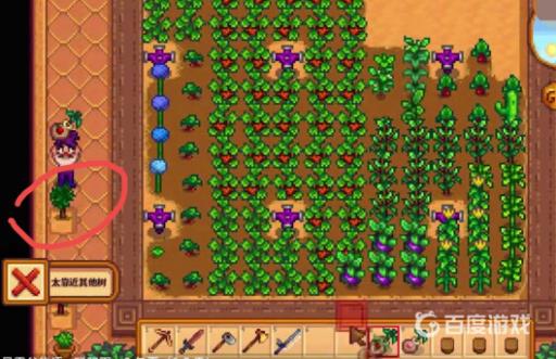 星露谷物语温室为啥种不了东西?7