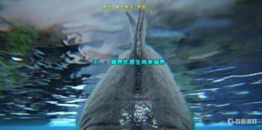 方舟鱼龙怎么驯服?5