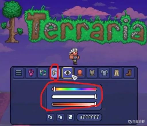 泰拉瑞亚怎么捏脸好看?2