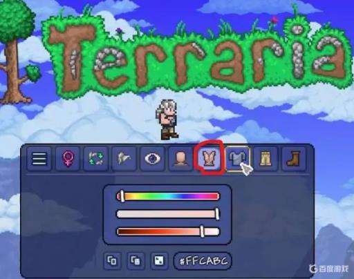 泰拉瑞亚怎么捏脸好看?5