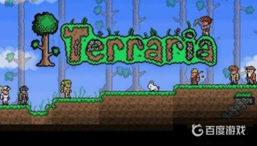 泰拉瑞亚最好的饰品是什么?1