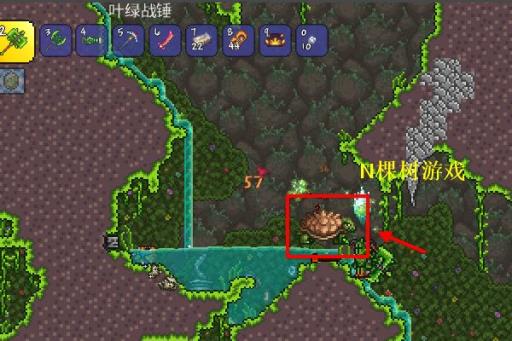 泰拉瑞亚龟壳在哪刷?3