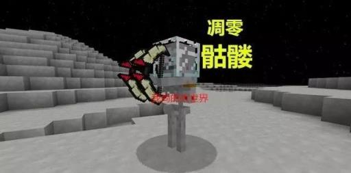 mc最稀有的十种骷髅是啥?1