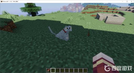 我的世界如何驯服一只猫?4