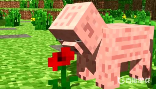 我的世界菜鸟实力排第几名?4