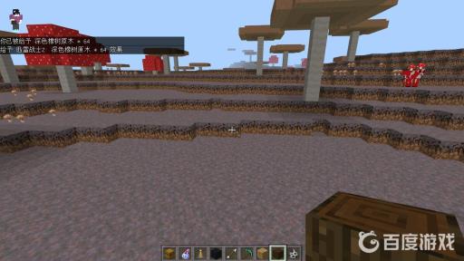 我的世界深色橡木英文是什么?3