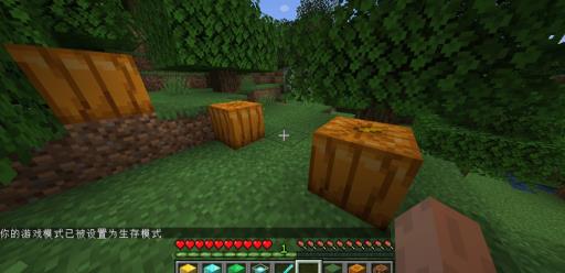 我的世界野南瓜怎么找?2