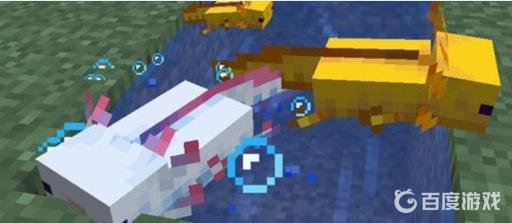 我的世界娃娃鱼怎么养?3