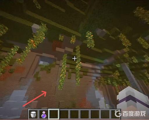 我的世界繁茂山洞怎么找?3