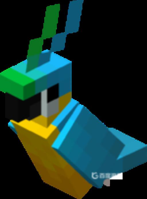 鹦鹉怎么驯服?2