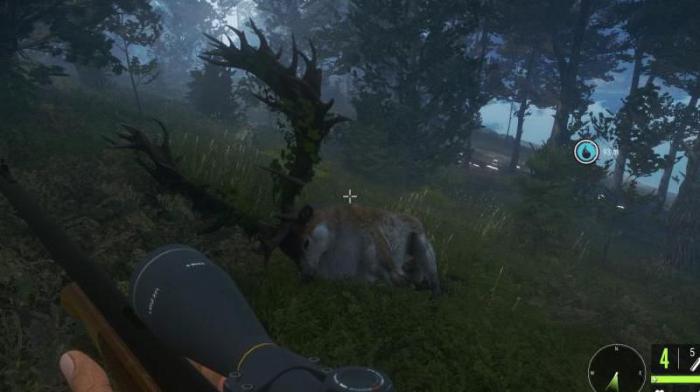 荒野的召唤哪些动物有奇珍异兽_荒野的召唤珍禽异兽