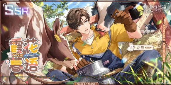 未定事件簿左然兔然觅趣攻略5