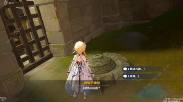 原神秘谷侠隐隐藏任务攻略10