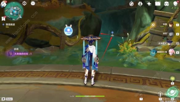 原神秘谷侠隐隐藏任务攻略17