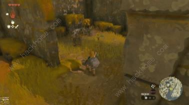 王国之泪呀哈哈机关解谜攻略4