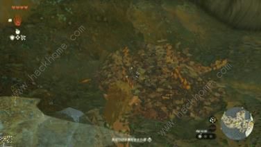 王国之泪呀哈哈机关解谜攻略7