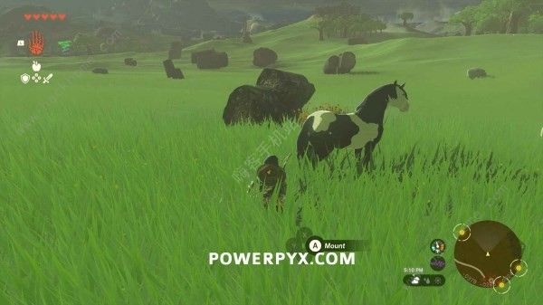 王国之泪马匹攻略大全3