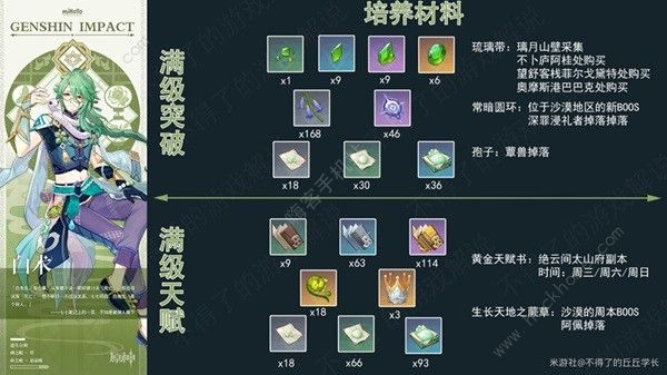 原神白术超详细攻略_原神白术厉害吗