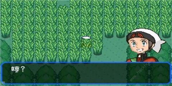 口袋妖怪究极绿宝石5.4金手指大全1