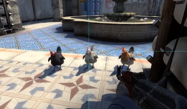 csgo怎么养鸡1