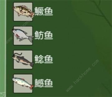 小森生活鲢鱼王任务攻略1