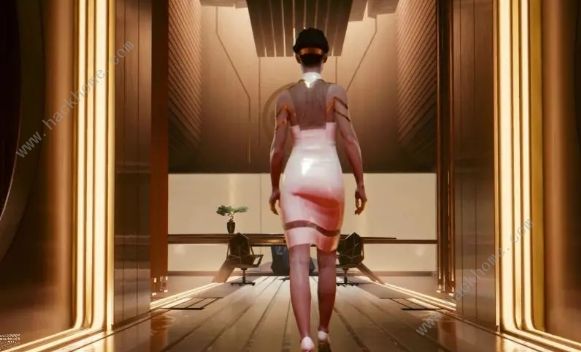 赛博朋克2077不可描述场面大全1