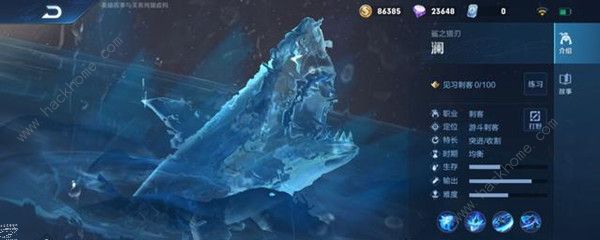 王者荣耀澜攻略大全2