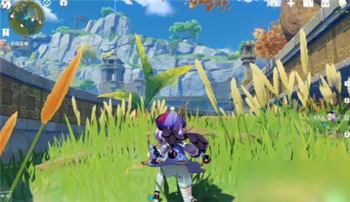 原神灵矩金色大树下的宝藏在哪_原神灵矩有宝金色大树下