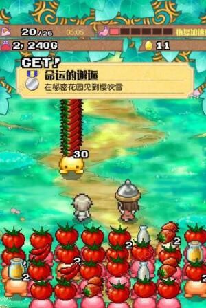 繁荣美食市场物语攻略大全5