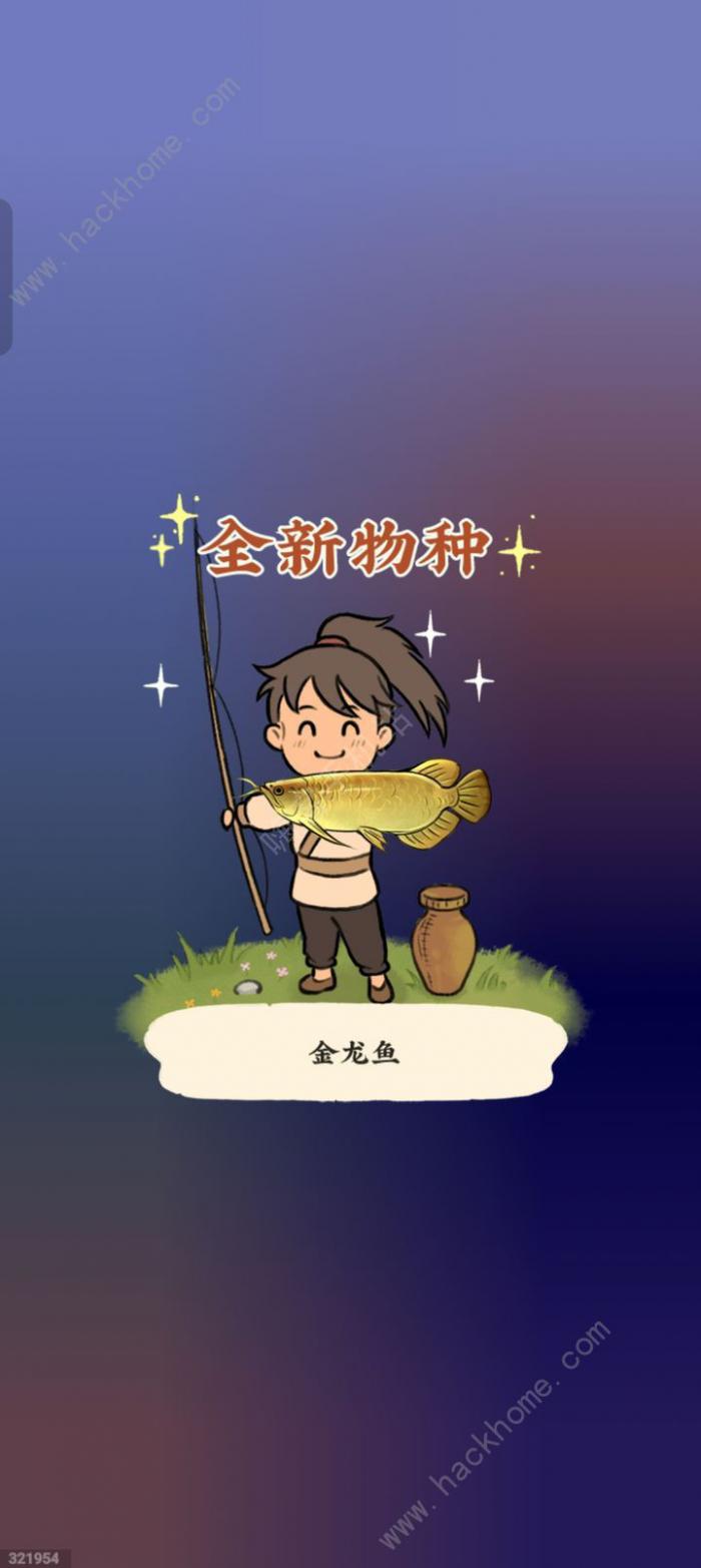 仙山小农金龙鱼怎么钓1